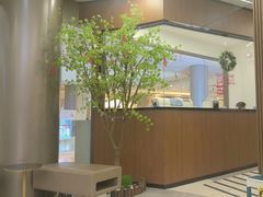 -天使口腔门诊部(上海店)