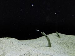 -沈阳海洋探索中心