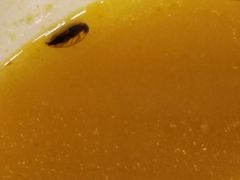 -四海游龙(大华店)