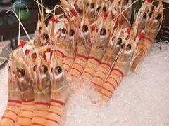 -大葉日本料理·龍蝦任食放題(廣州W酒店)