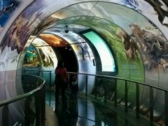 -房山世界地质公园博物馆