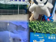 -海合安成都极地海洋公园