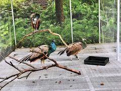 -福建鲤鱼洲酒店