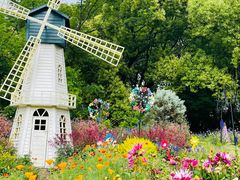 -上海共青森林公园