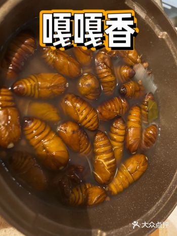 嘎嘎香的优质蛋白质 懂的都懂