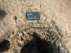 -南越王博物院(王宫展区)