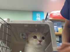 -佳雯宠物医院·皮肤科·内外科(春晓路分院)