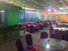 大堂-马白开来特色羊排揪片子  (总店)