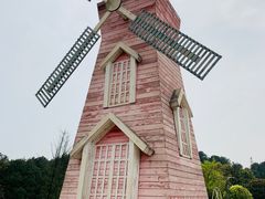 -铁山坪森林公园