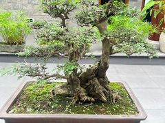 -聚福宝合苑食府(南头镇店)