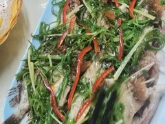 -老明馨潮汕大排档