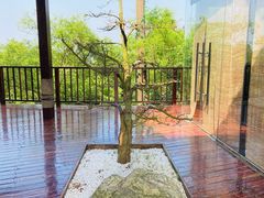 -南京市无想山景区