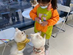 -怪兽屋·羊驼·猫咖·狗咖(俊华广场店)