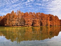 -上海海湾国家森林公园