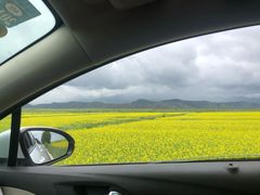 -扁都口生态休闲旅游区