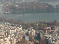 -紫峰大厦