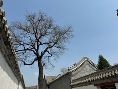 -保定直隶总督署博物馆
