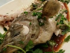 -外高桥喜来登酒店采悦轩