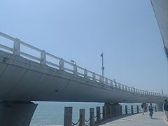 -演武大桥观景平台
