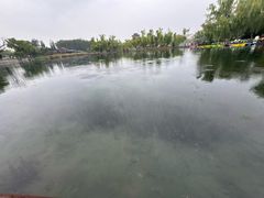 -百脉泉景区