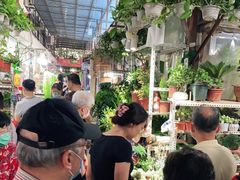 -万商花鸟市场