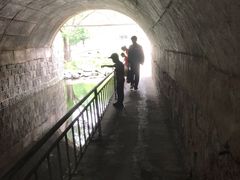 -白水寺森林公园