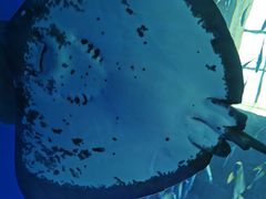 -波塞冬海底世界