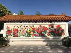 -神州牡丹园