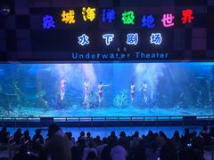 -泉城欧乐堡海洋极地世界