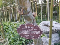 -个园