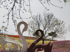 -密云玫瑰情园