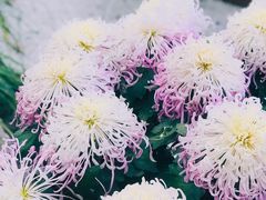 -汇龙潭