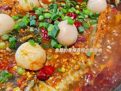 -鱼酷活鱼烤鱼(中联广场店)