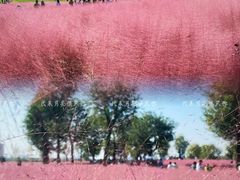 -汉长安城未央宫国家考古遗址公园