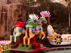 -南宫五洲植物乐园