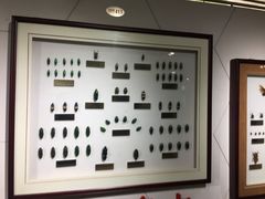 -上海昆虫博物馆