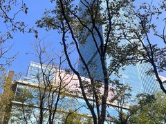 -静安公园(静安寺街道)