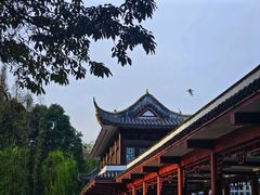 -温江公园