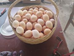 -马陆小张葡萄园农家乐