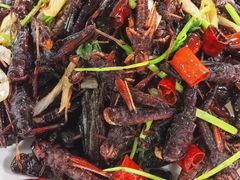 -阳坊胜利涮羊肉(阳坊老店)