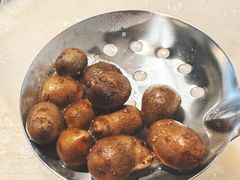 -十二舍·湯物素煮(江泰潤政店)
