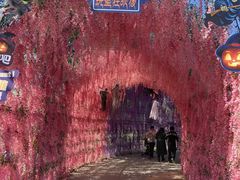 -歌斐颂巧克力小镇