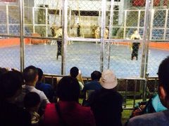 秦岭野生动物园-西安秦岭野生动物园