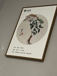 -歌曼丽草本减重