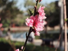 -中山公园