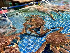 -三亚火车头万人海鲜广场