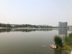 景点-美兰湖景区