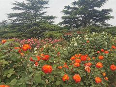 -国家植物园南园