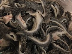 羊肚-洪记白水羊头(天坛店)