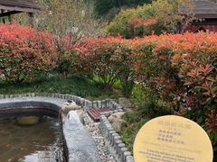 -扬州瘦西湖温泉